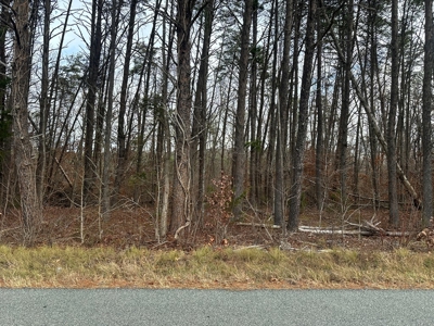 4.19 Acre Building Lot in Western Halifax County, VA - image 2