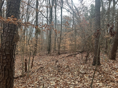 4.19 Acre Building Lot in Western Halifax County, VA - image 11