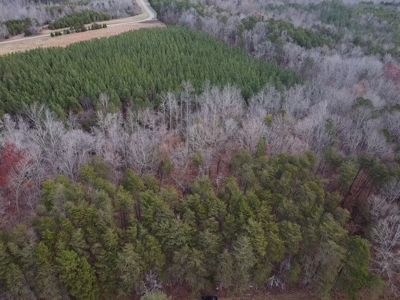 4.19 Acre Building Lot in Western Halifax County, VA - image 17