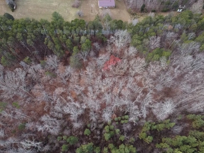 4.19 Acre Building Lot in Western Halifax County, VA - image 16