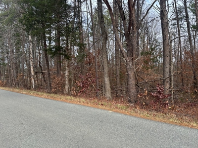 4.19 Acre Building Lot in Western Halifax County, VA - image 10