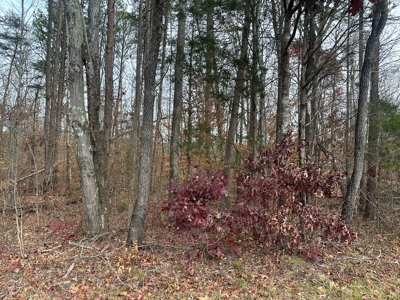 4.19 Acre Building Lot in Western Halifax County, VA - image 13