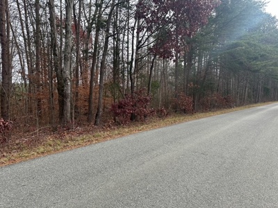 4.19 Acre Building Lot in Western Halifax County, VA - image 14