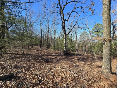 Off-Grid Tiny Home For Sale - Near National Forest - image 24