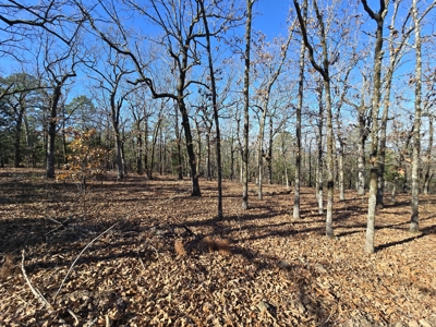 Off-Grid Tiny Home For Sale - Near National Forest - image 20