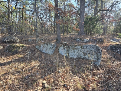 Off-Grid Tiny Home For Sale - Near National Forest - image 21