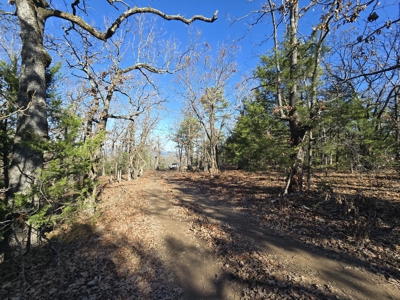 Off-Grid Tiny Home For Sale - Near National Forest - image 25