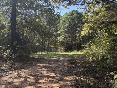 Hunting Land For Sale In North Central Arkansas - image 5
