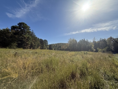 Hunting Land For Sale In North Central Arkansas - image 11