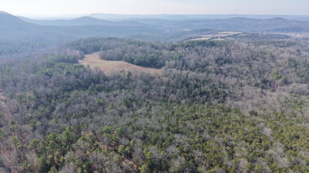 Hunting Land For Sale In North Central Arkansas - image 13
