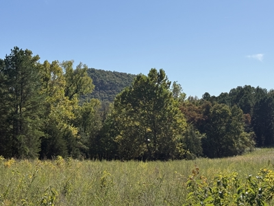 Hunting Land For Sale In North Central Arkansas - image 8