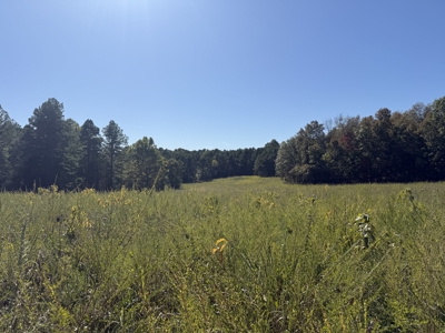 Hunting Land For Sale In North Central Arkansas - image 2