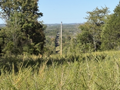 Hunting Land For Sale In North Central Arkansas - image 4