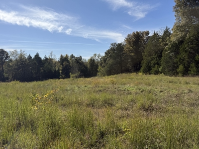 Hunting Land For Sale In North Central Arkansas - image 10