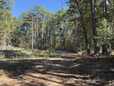 Hunting Land For Sale In North Central Arkansas - image 9