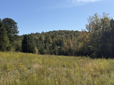 Hunting Land For Sale In North Central Arkansas - image 12