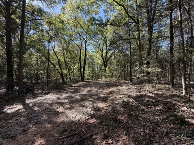 Hunting Land For Sale In North Central Arkansas - image 6