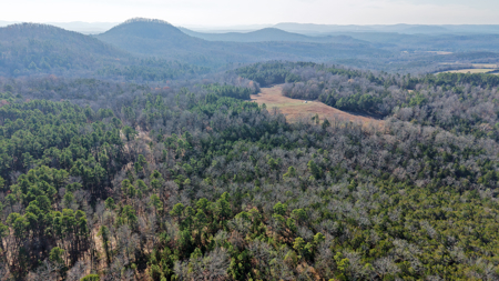 Hunting Land For Sale In North Central Arkansas - image 1