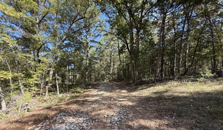 Hunting Land For Sale In North Central Arkansas - image 7