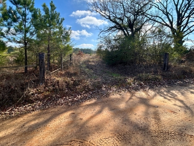 East Texas hunting and recreational land for sale - image 2