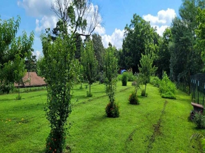 Country Home With Orchard And Pond - image 17