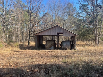Country Home With Orchard And Pond - image 4