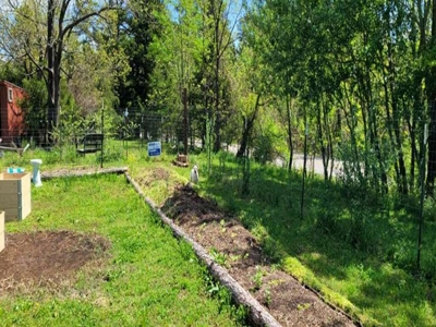 Country Home With Orchard And Pond - image 20