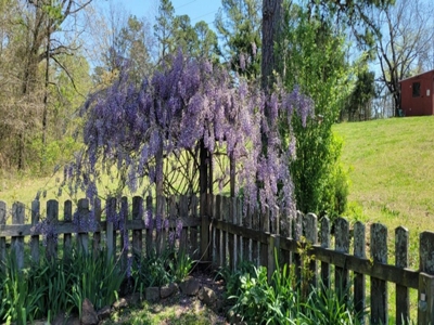 Country Home With Orchard And Pond - image 12