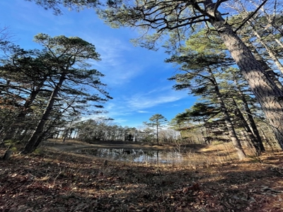 Country Home With Orchard And Pond - image 46
