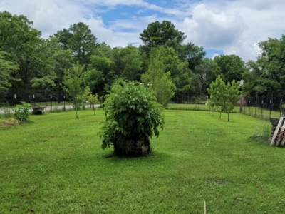 Country Home With Orchard And Pond - image 10