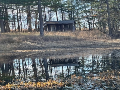 Country Home With Orchard And Pond - image 47