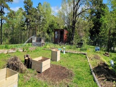 Country Home With Orchard And Pond - image 14