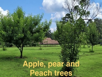 Country Home With Orchard And Pond - image 15
