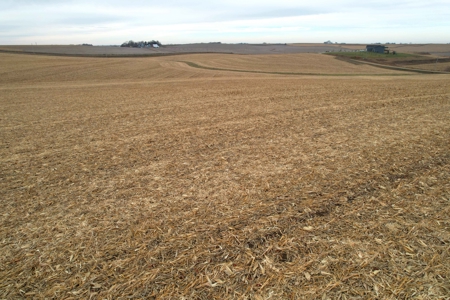 Carroll County Iowa Farmland Auction - image 13