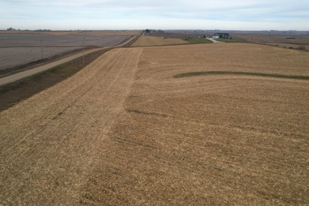Carroll County Iowa Farmland Auction - image 7