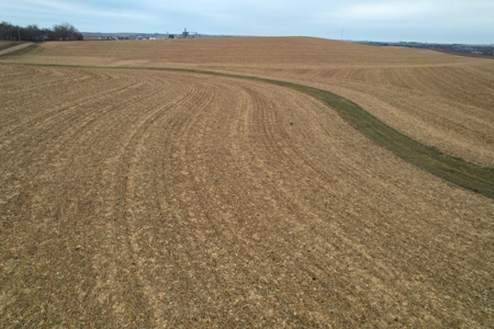 Carroll County Iowa Farmland Auction - image 17