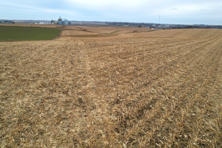 Carroll County Iowa Farmland Auction - image 26