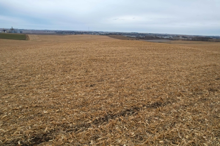 Carroll County Iowa Farmland Auction - image 22