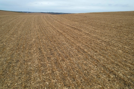 Carroll County Iowa Farmland Auction - image 9