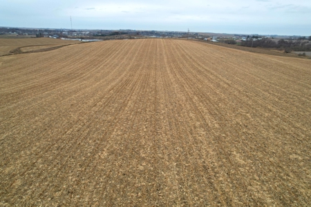 Carroll County Iowa Farmland Auction - image 29
