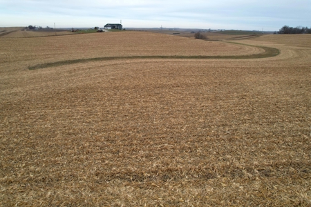 Carroll County Iowa Farmland Auction - image 10