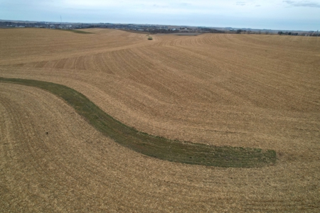 Carroll County Iowa Farmland Auction - image 16
