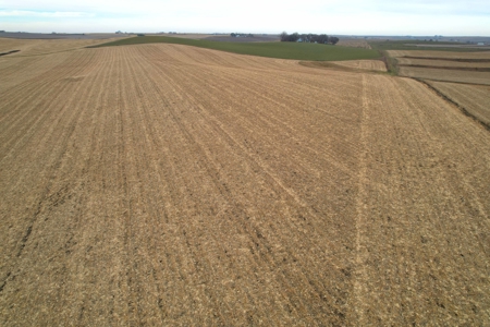 Carroll County Iowa Farmland Auction - image 33