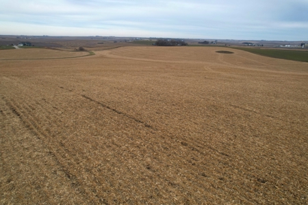 Carroll County Iowa Farmland Auction - image 5