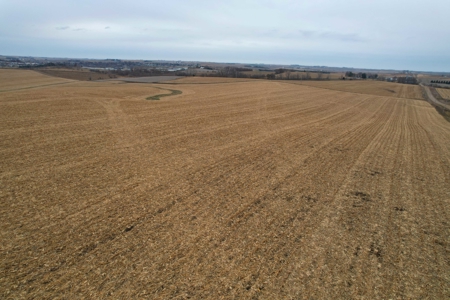 Carroll County Iowa Farmland Auction - image 21