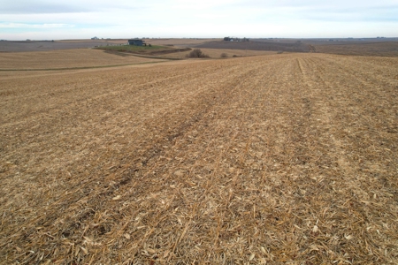 Carroll County Iowa Farmland Auction - image 12
