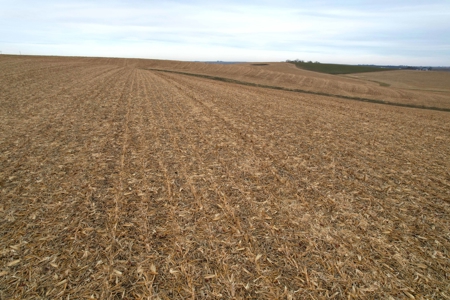 Carroll County Iowa Farmland Auction - image 40