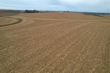Carroll County Iowa Farmland Auction - image 8