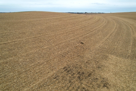 Carroll County Iowa Farmland Auction - image 19