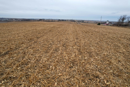Carroll County Iowa Farmland Auction - image 23